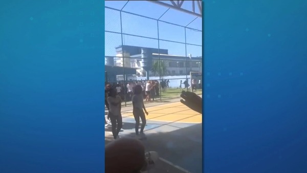 Pit bull invade escola e ataca seis crianças no Rio de Janeiro