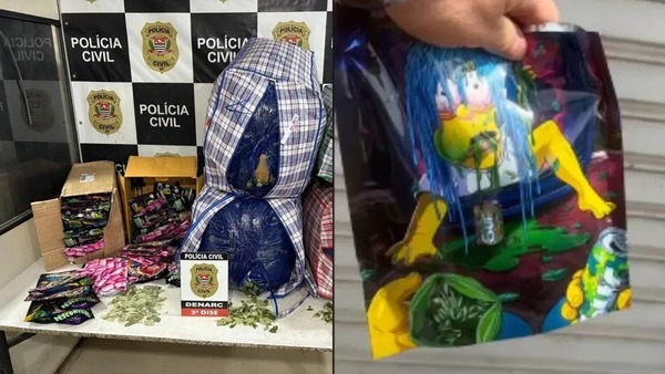 Polícia apreende 'bolo mágico' e quase 600kg de folhas de coca em São Paulo