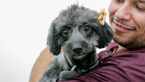 Prefeitura de Ribeirão Preto realiza novo mutirão de inscrição para castração de cães e gatos neste domingo (08)