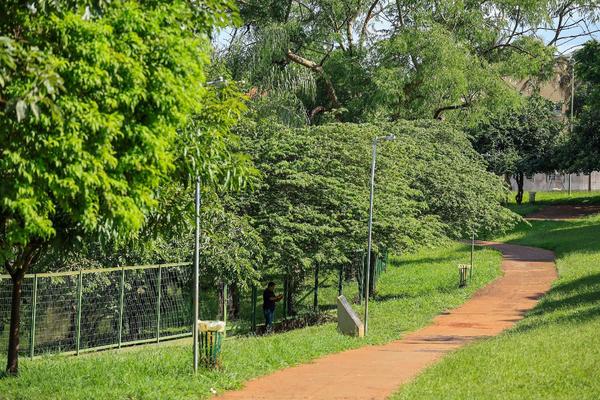 Parque Tom Jobim será fechado nesta quinta-feira à noite para remoção emergencial de enxame de abelhas