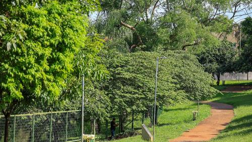 Parque Tom Jobim será fechado nesta quinta-feira à noite para remoção emergencial de enxame de abelhas