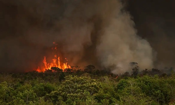 Queimadas fazem desmatamento crescer 92% na Amazônia em maio