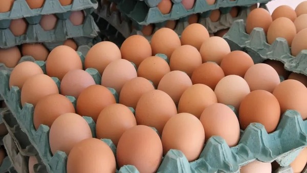 Ovos voltam a ficar mais caros; entenda os motivos
