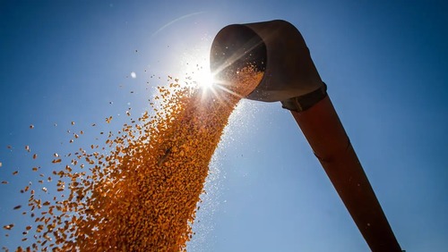 Brasil poderá ter novo recorde na produção de grãos na safra 2024/2025
