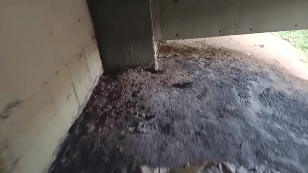 Médico cai no golpe do amor e fica 15 horas em cativeiro debaixo de viaduto na Grande SP