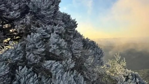 Região Sul abaixo de zero: estados amanhecem com temperaturas negativas nesta quarta (25)