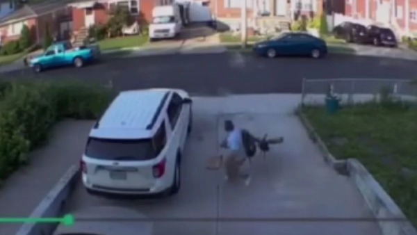 Vídeo: homem é atacado por peru enquanto saía de casa nos EUA