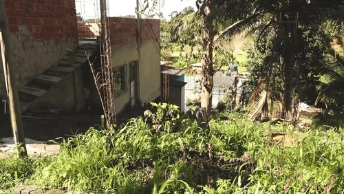 Mulher confessa ter matado e decapitado sobrinha deficiente intelectual em Vitória, no Espírito Santo