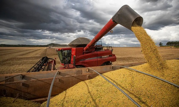 Produção brasileira de grãos deve ser 14,2% maior