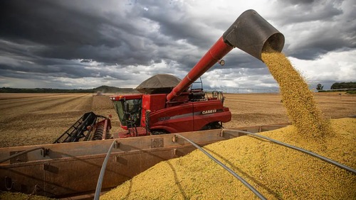 Produção brasileira de grãos deve ser 14,2% maior