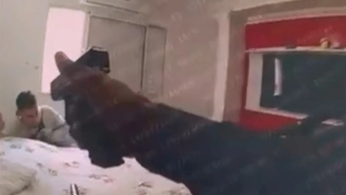 Vídeo: bodycam de PM registra execução de homem rendido em Paraisópolis