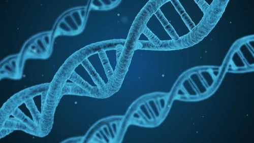 Bebês são gerados com o DNA de três pessoas diferentes na Inglaterra; entenda