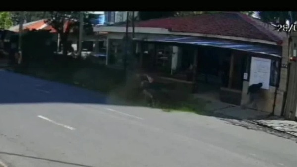 VÍDEO: Ciclista escapa de ser atingido por árvore em São Bernardo do Campo (SP)