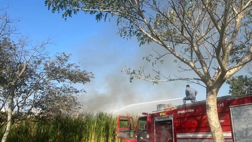 Defesa Civil intensifica ações contra queimadas em Ribeirão Preto e região