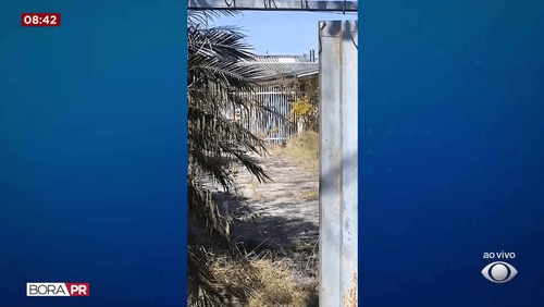 Filho suspeito de matar mãe e esconder corpo em freezer é preso no Paraná