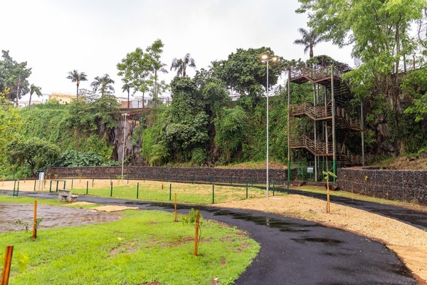 Parque Roberto Genaro é fechado temporariamente para retirada de enxame de abelhas