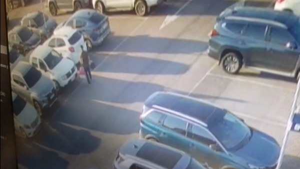Vídeo: homem abandona cachorrinha de 3 meses após recusa de embarque com animal
