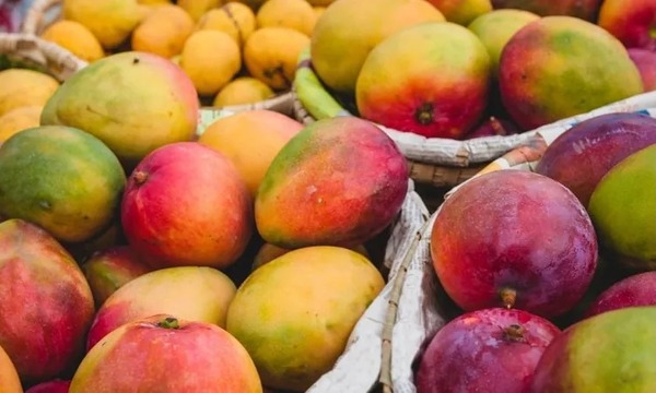 Governo libera compra direta de alimentos afetados por tarifaço de Trump
