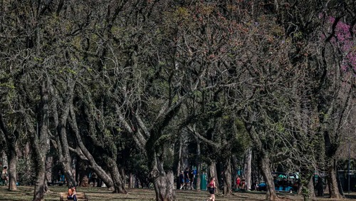 Cidade de São Paulo tem agosto mais seco desde 2020