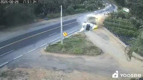 Carreta com 60 bois capota em rodovia de MG