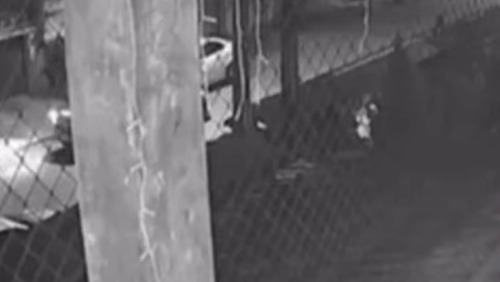 Jovem atrai atenção aos gritos e escapa de tentativa de sequestro no Guarujá (SP)