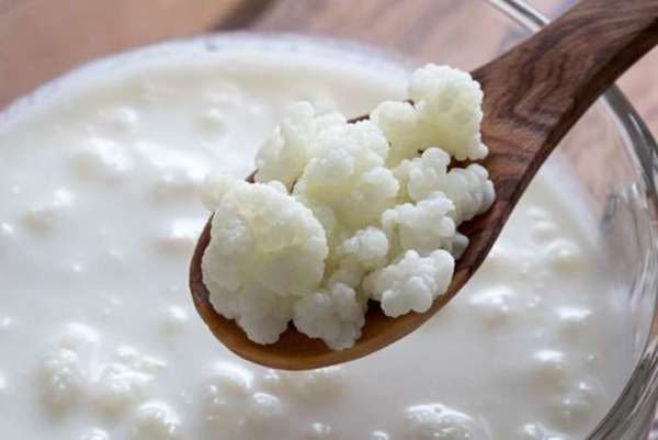 #Saúde&NutriçãoMelody: Kefir