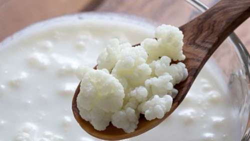 #Saúde&NutriçãoMelody: Kefir