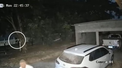 Prefeito de Morro Agudo de Goiás é baleado ao chegar em casa