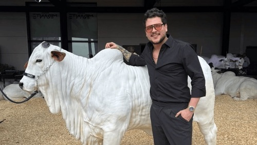 Cantor sertanejo arremata vaca avaliada em R$ 1,2 milhão
