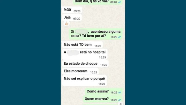 Cachorros morreram durante viagem em carro de pet shop em SP; calor pode ter provocado mortes