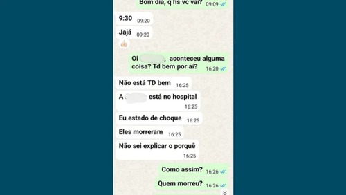Cachorros morreram durante viagem em carro de pet shop em SP; calor pode ter provocado mortes