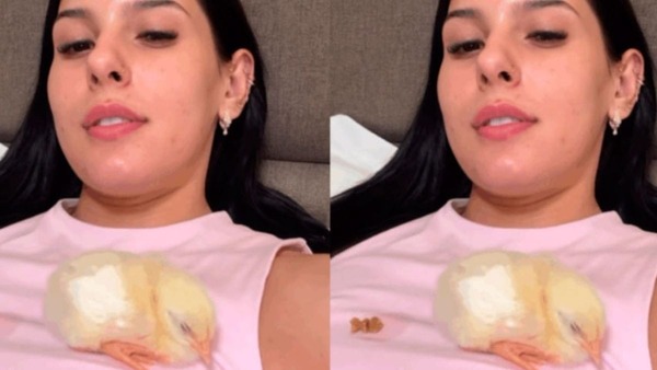 Ana Castela ganha pintinhos de fãs e desabafa: “Um deles cagou em mim”