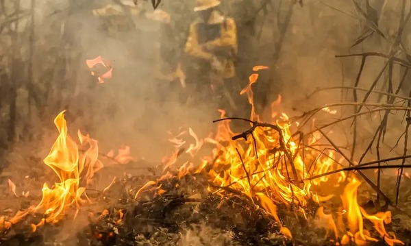 Queimadas na Chapada dos Veadeiros já duram 10 dias e devastam 73 mil hectares em Goiás