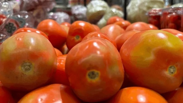Fim da safra faz o preço do tomate subir em várias regiões do Brasil