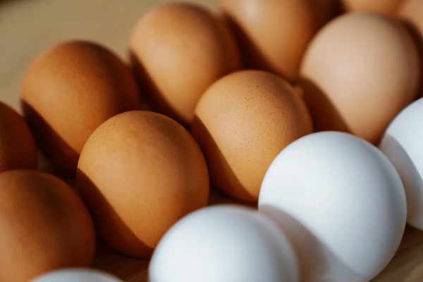Dia Mundial do Ovo: veja curiosidades sobre o alimento considerado completo