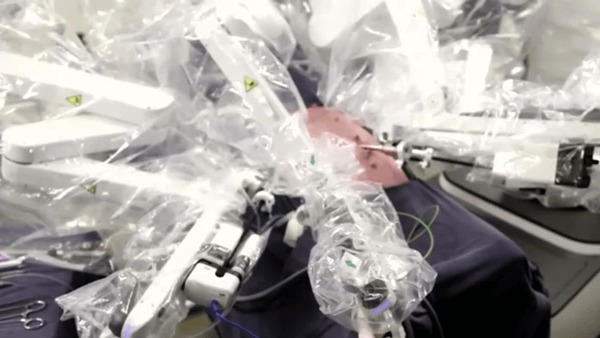 Medicina brasileira realiza telecirurgia em porco controlada à distância