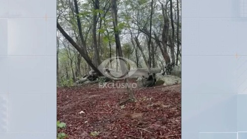 Vídeo: Imagens mostram o início da troca de tiros durante a operação no Rio