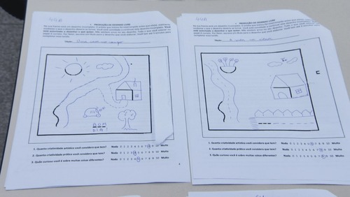 Pesquisa compara gêmeos e busca respostas sobre influência no comportamento