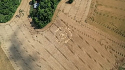 Agroglifo volta a parecer em plantação de trigo de Santa Catarina