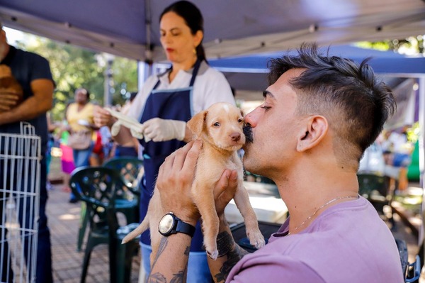 Prefeitura de Ribeirão Preto realiza feira de adoção de cães e gatos neste sábado
