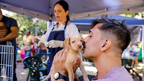 Prefeitura de Ribeirão Preto realiza feira de adoção de cães e gatos neste sábado