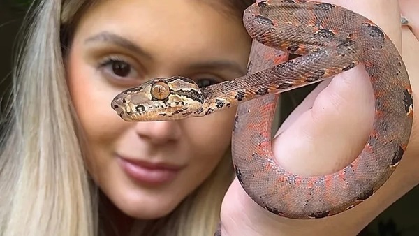 Influencer vive com 5 cobras no quarto: "Nunca tive medo"