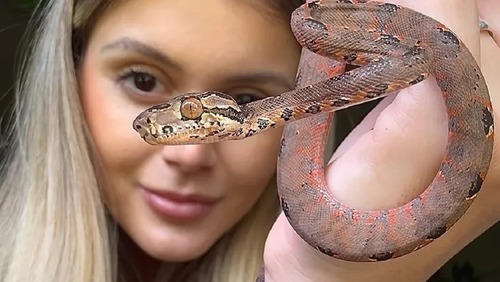 Influencer vive com 5 cobras no quarto: "Nunca tive medo"