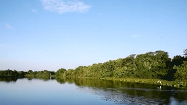 Saiba o que são os rios voadores da Amazônia