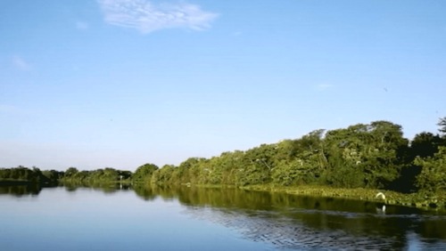 Saiba o que são os rios voadores da Amazônia
