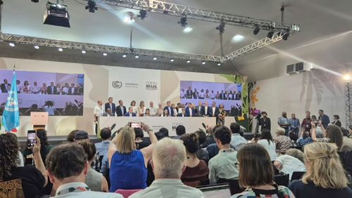 COP30: trabalhos seguem normalmente nesta sexta, após incêndio