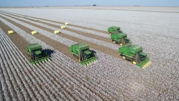 Tarifaço ainda incide em 22% das exportações brasileiras para os EUA