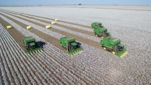 Tarifaço ainda incide em 22% das exportações brasileiras para os EUA