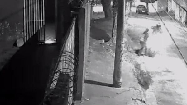 Vídeo: veterinária é baleada após reagir a tentativa de assalto em Santo André (SP)