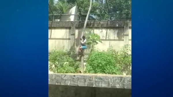 O que se sabe até o momento sobre a morte do jovem que entrou na jaula da leoa em PB